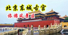 少妇插B湿了视频中国北京-东城古宫旅游风景区
